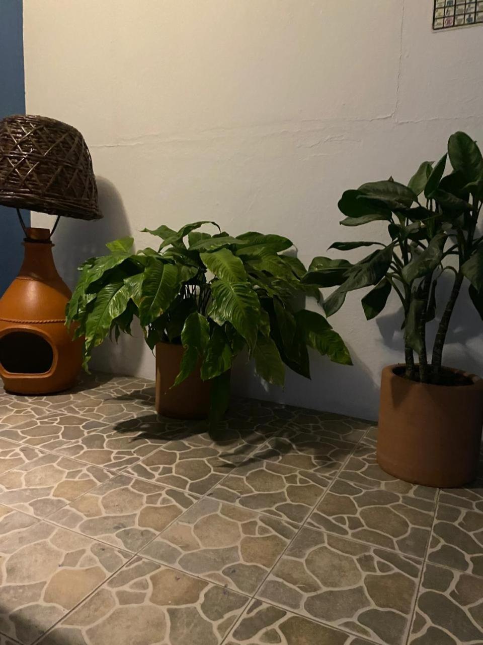 Hotel Casa Juanita Puerto Escondido  Εξωτερικό φωτογραφία